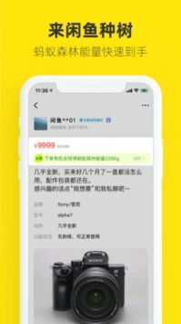 闲鱼手机回收精简版截图2