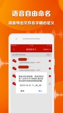 语音导出大师网页版截图1