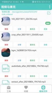 视频马赛克免费版截图1