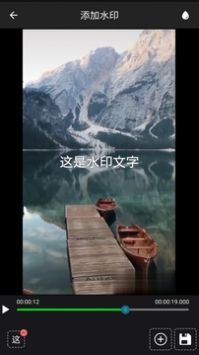 视频水印工厂完整版截图1