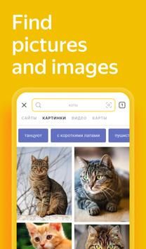 Yandex无限制版截图2