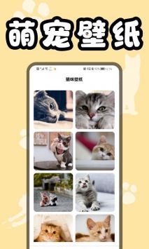 猫猫翻译器完整版截图2