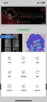 绿叶浏览器精简版截图3