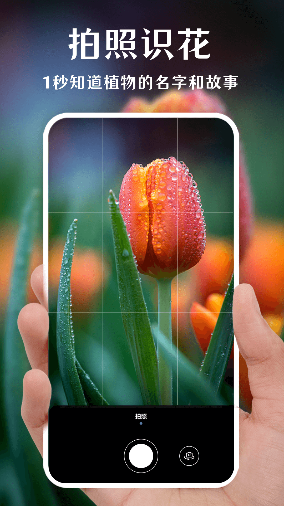 一键拍照识花无限制版截图3