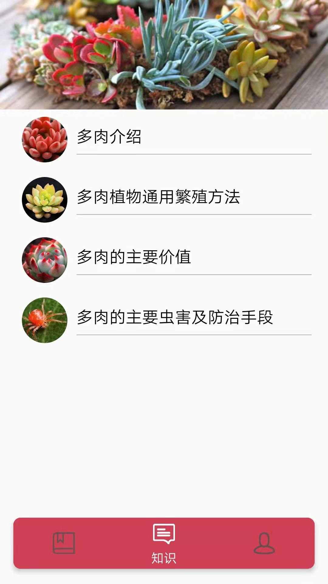 多肉花草日记汉化版截图1