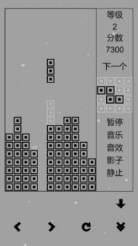 经典俄罗斯方块黑白版最新版截图3