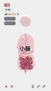 生命人体模拟器最新版截图1